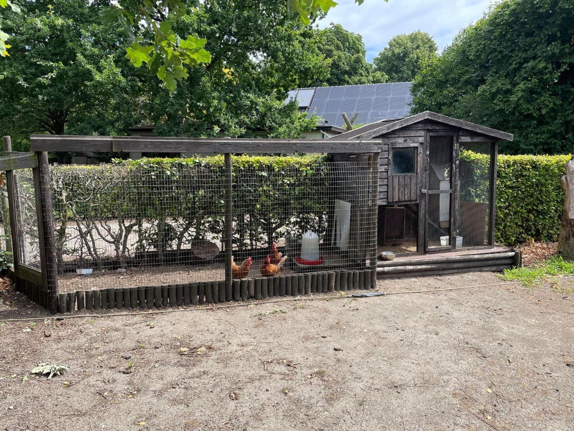 Completely Renovated Back Part Of A Farm Villa Uden Ngoại thất bức ảnh